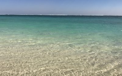 Ningaloo Reef (WA) – A Cut Above the Rest