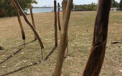 Didgeridoo (Yidaki) Workshop on the Gold Coast